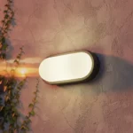 انارة خارجيه المطور 3CCT لون الانارة قابلة للتغيير ( 3K,4K,6.5K ) على اسود بيضاوي 20 واط