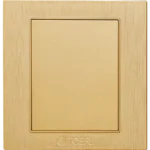 غطاء فيش فارغ لون ذهبي هادئ توفل