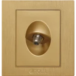 فيش منفذ دش مفرد لون ذهبي هادئ توفل