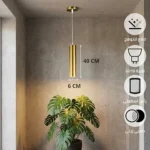 علاقي سلندر ذهبي زيتي مودرن 40 سم - لمبة GU10 - ارتفاع 2M