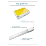 ⁦كرتون لمبة قلم T8 ليد 30 حبة لون الانارة ابيض 1.20 متر 40 واط⁩ - الصورة ⁦5⁩