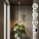 علاقي سلندر ذهبي زيتي مودرن 50 سم - لمبة GU10 - ارتفاع 2M